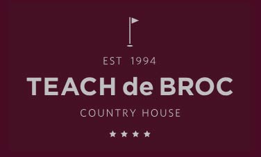 Teach de Broc logo